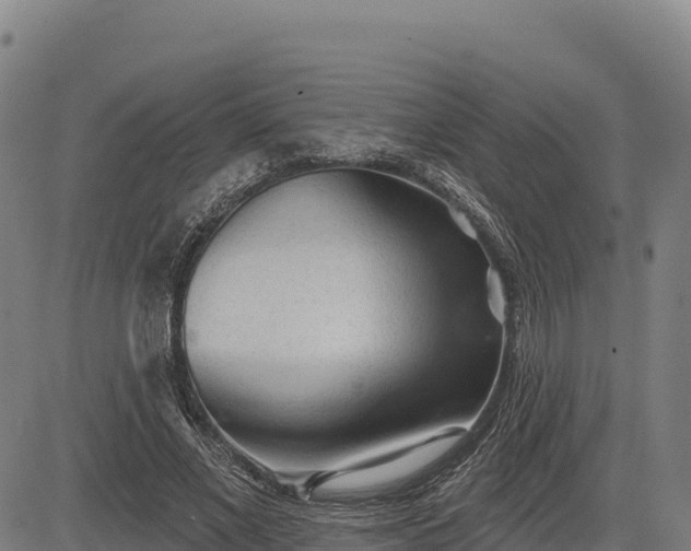 X0000083630685200702201342