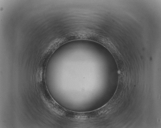 X0000083630694200702201342