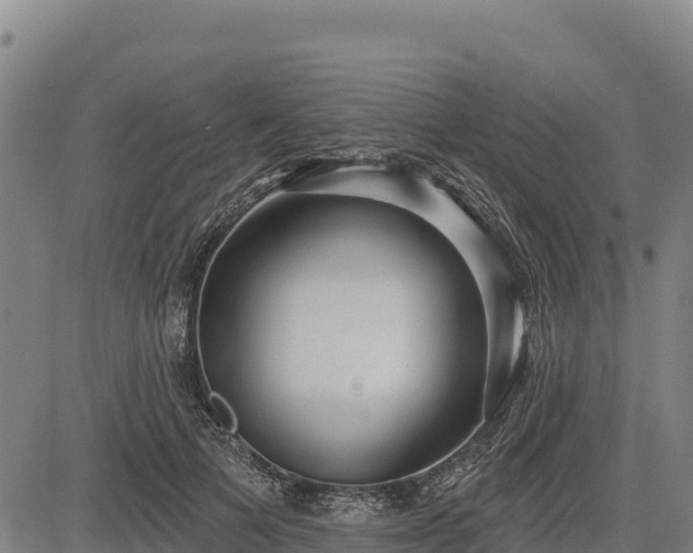 X0000083630697200702201342
