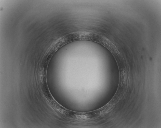 X0000083630698200702201342