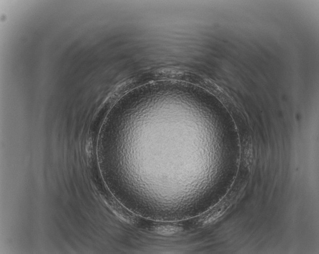 X0000083630708200702201342