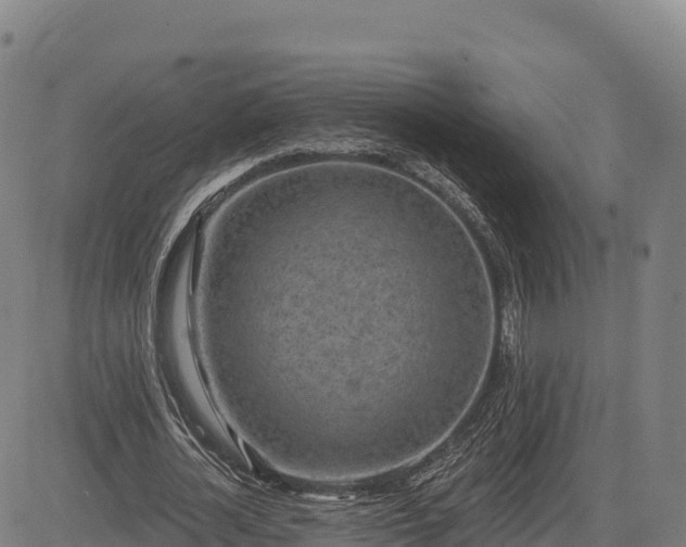 X0000083630724200702201341