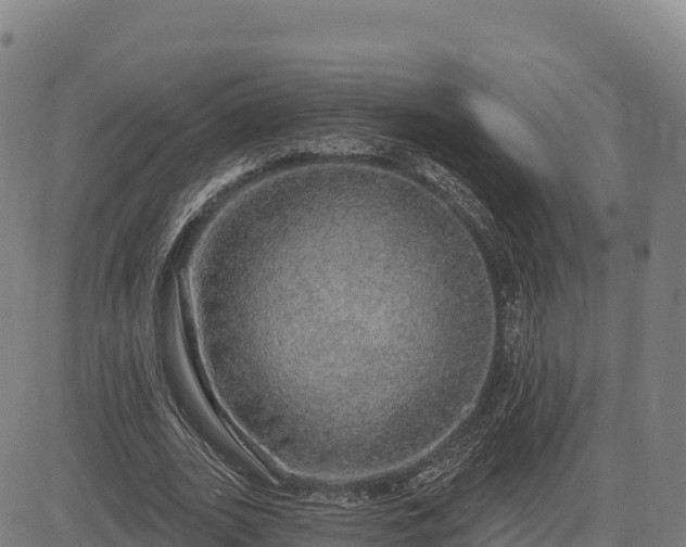 X0000083630727200702201341
