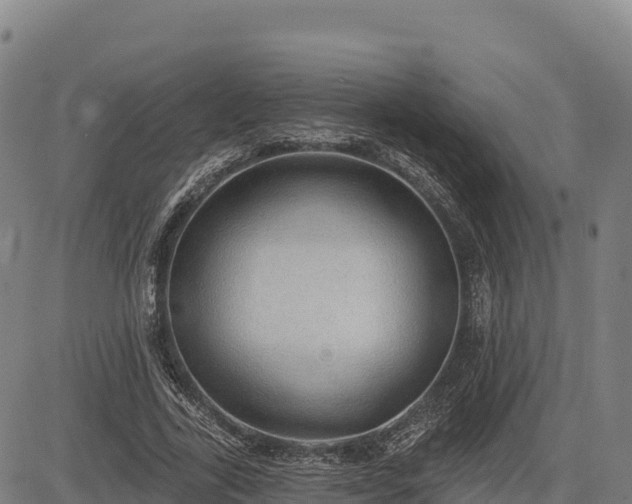X0000083630731200702201341