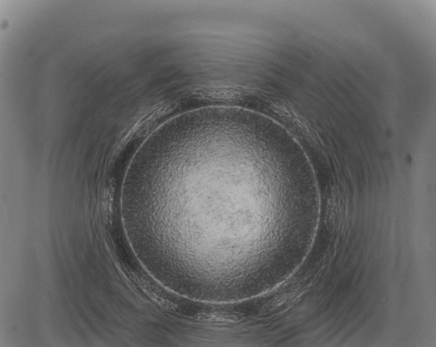 X0000083630739200702201341