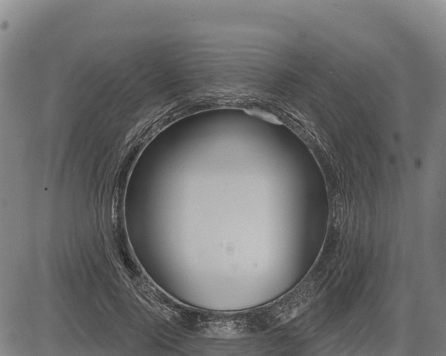 X0000083630740200702201341