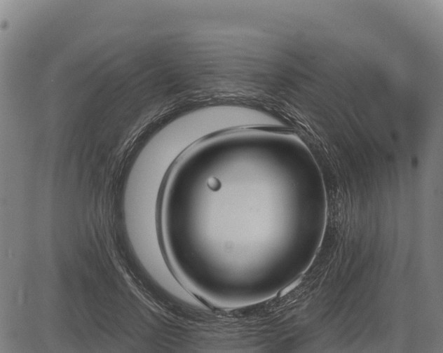 X0000083630742200702201341