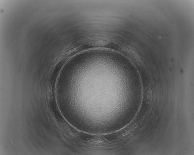 X0000083630743200702201341