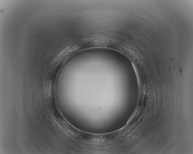 X0000083630744200702201341