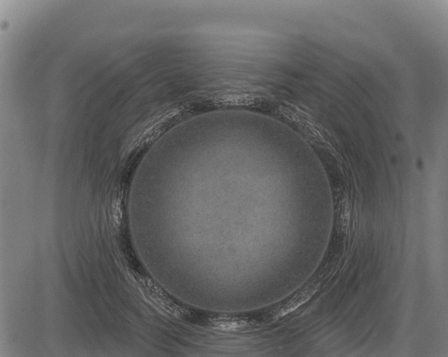 X0000083630746200702201341