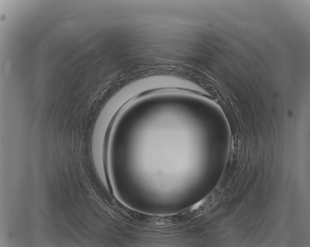 X0000083630750200702201342