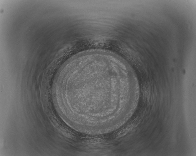 X0000083630769200702201341