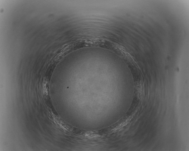 X0000083630770200702201341
