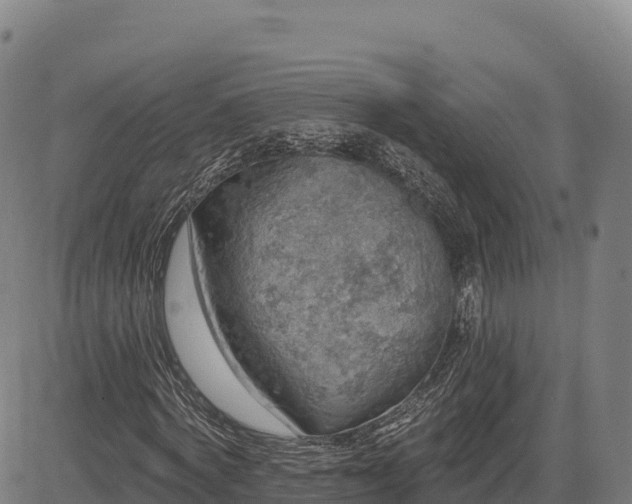 X0000083630772200702201341