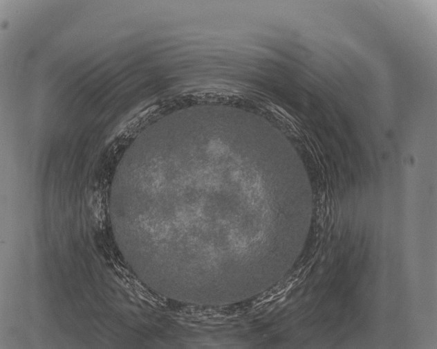 X0000083630774200702201341