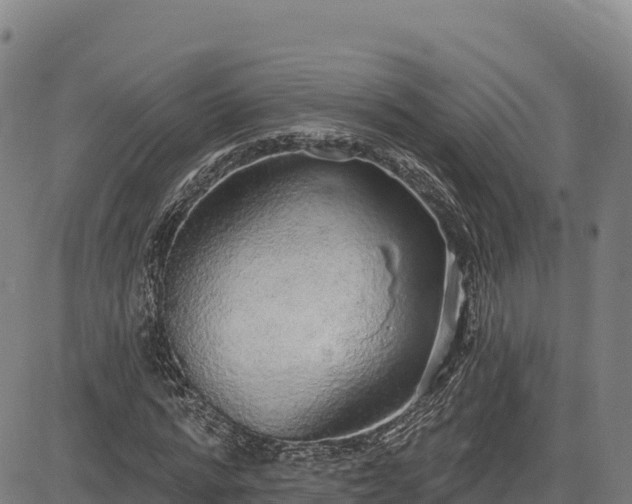 X0000083630776200702201341