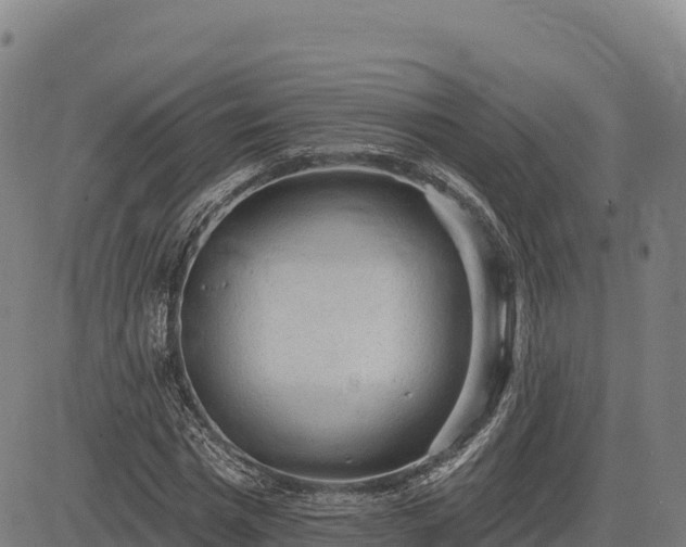 X0000083630777200702201341