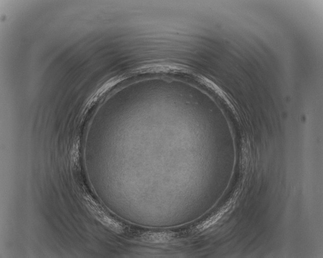 X0000083630778200702201341