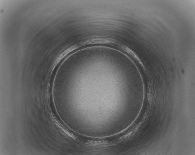 X0000083630786200702201341