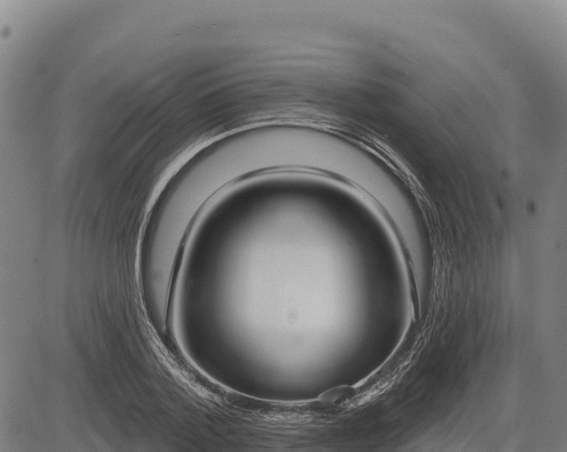 X0000083630788200702201341