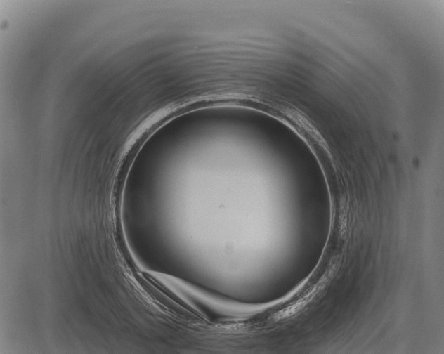 X0000083630789200702201341