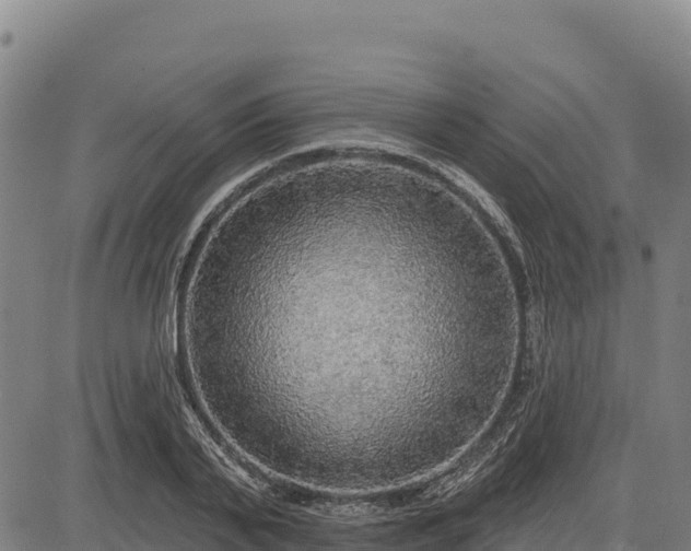 X0000083630791200702201341