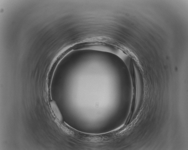 X0000083630792200702201341
