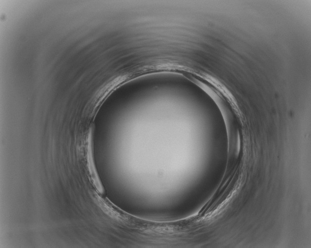 X0000083630801200702201340