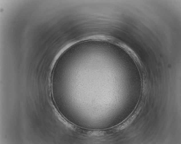 X0000083630808200702201340