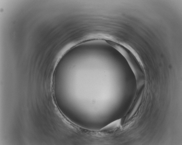 X0000083630815200702201340