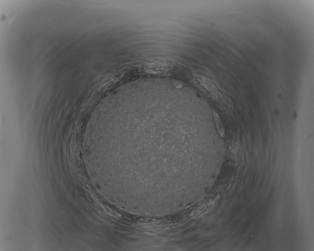 X0000083630817200702201339
