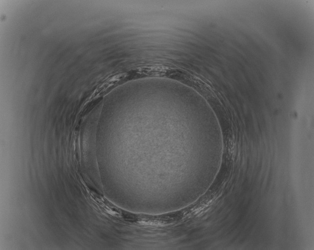 X0000083630818200702201339