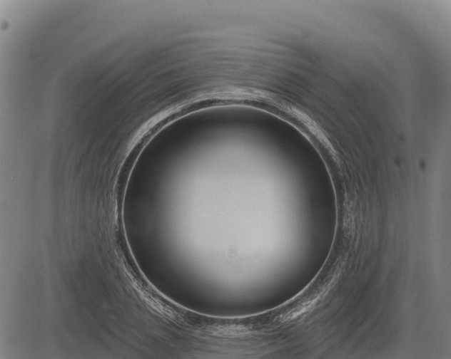 X0000083630837200702201340