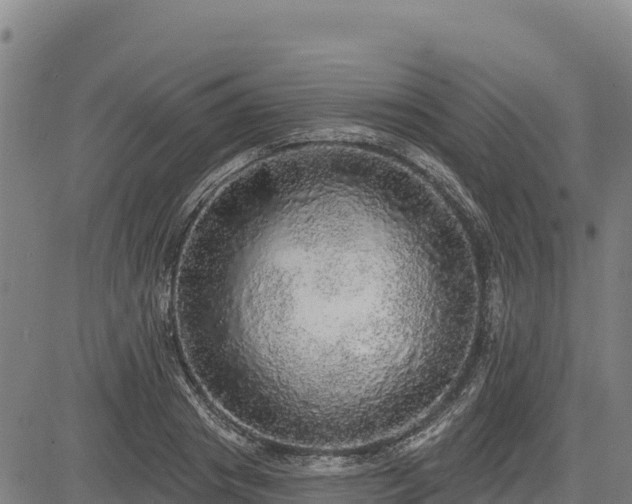 X0000083630841200702201340