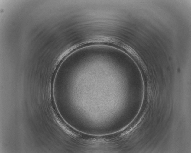 X0000083630842200702201340