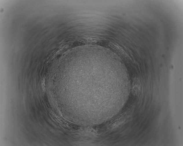 X0000083630866200702201339