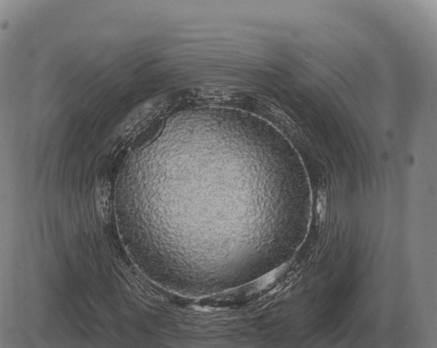 X0000083630867200702201339