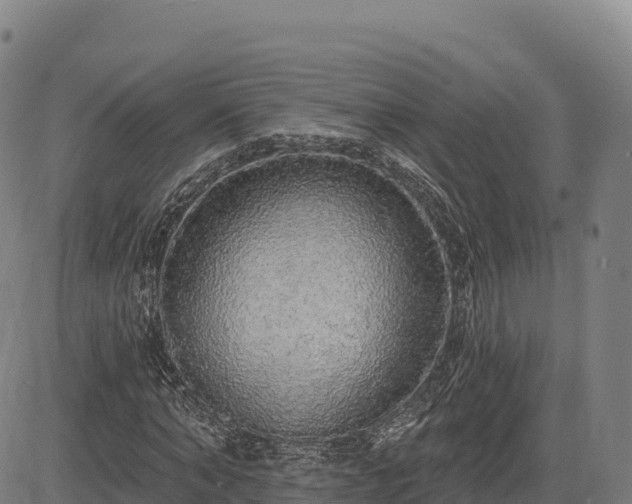X0000083630870200702201339