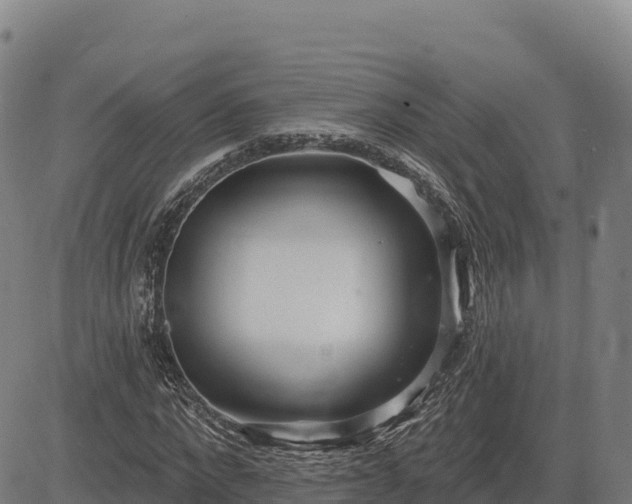 X0000083630872200702201339