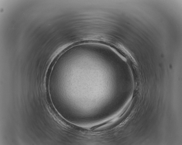 X0000083630884200702201339