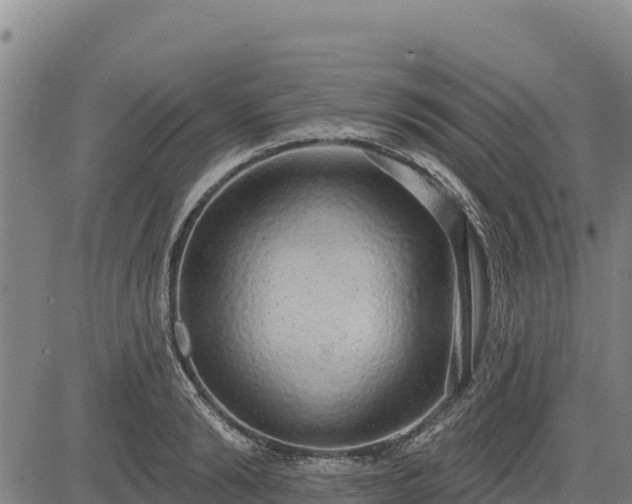 X0000083630894200702201339