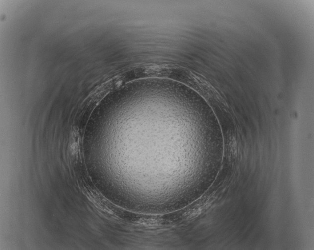 X0000083630914200702201338