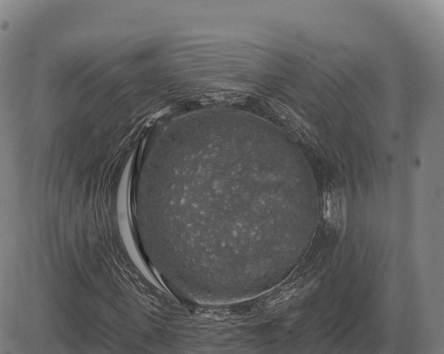 X0000083630915200702201338
