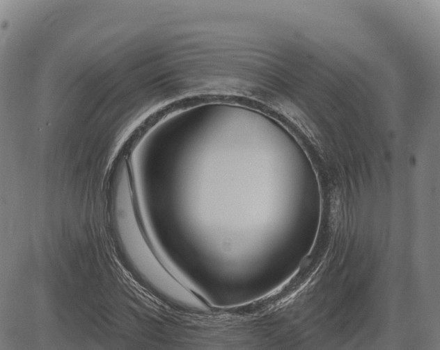 X0000083630926200702201338