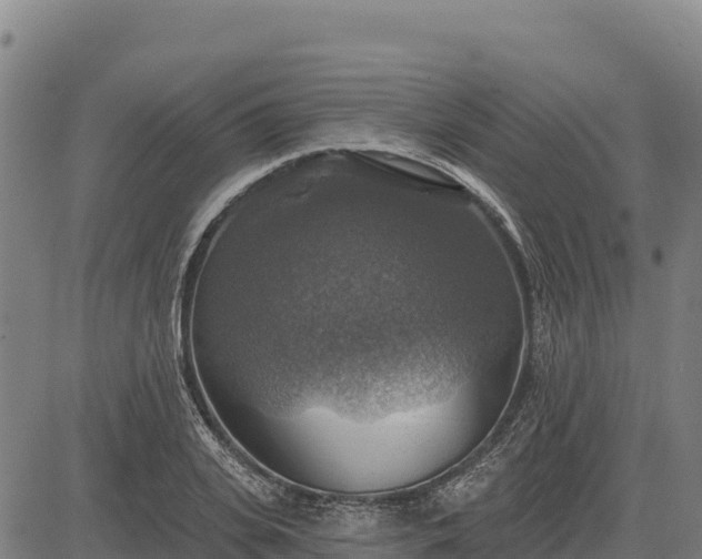 X0000083630935200702201338