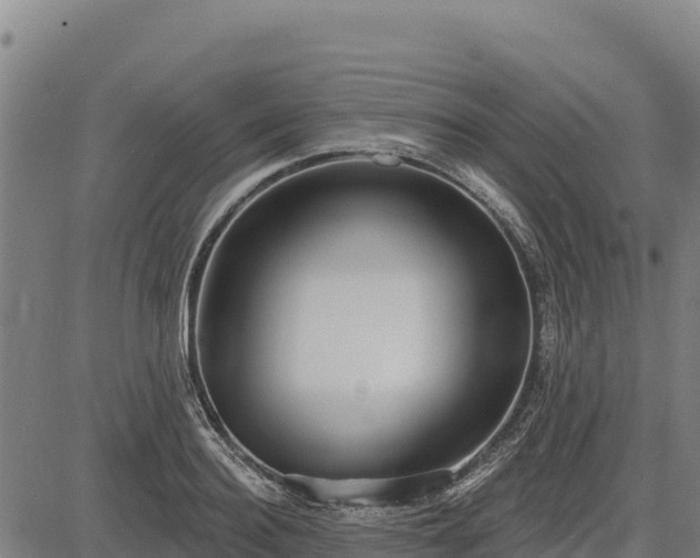 X0000083630940200702201338