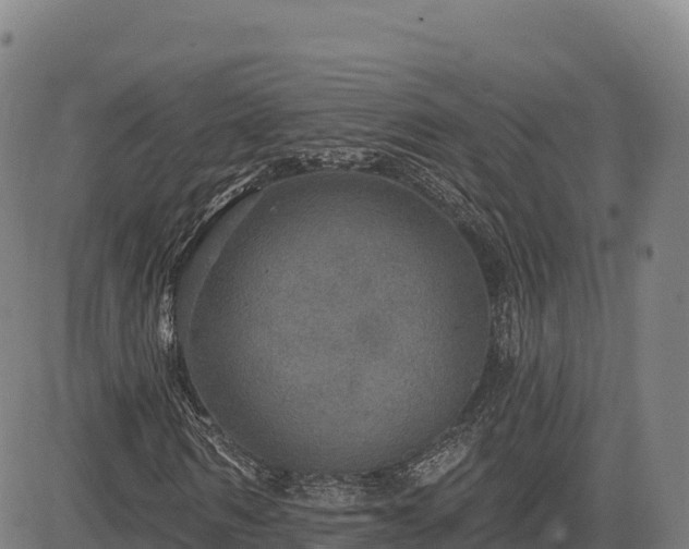 X0000083630962200702201338