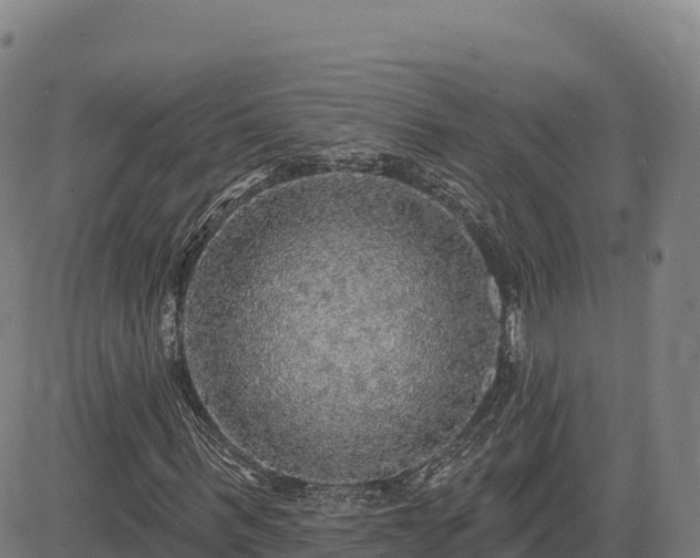 X0000083630963200702201338