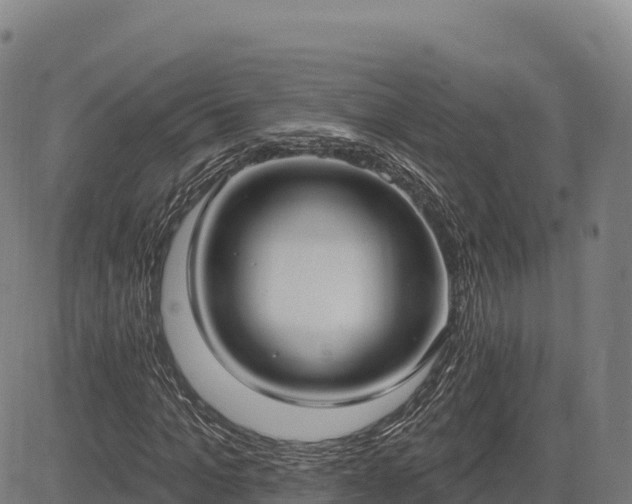 X0000083630965200702201338