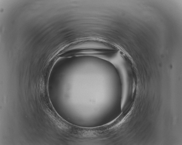 X0000083630969200702201338